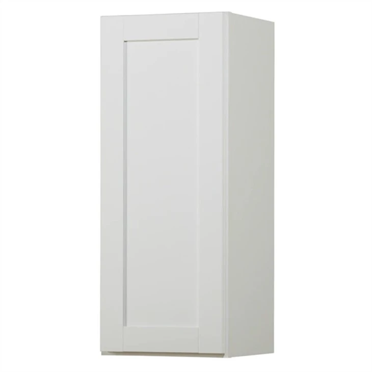 12 Inch Deep Wall Mounted Cabinet