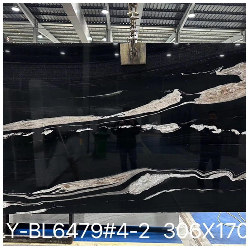 Copacabana Black Quartzite Slab