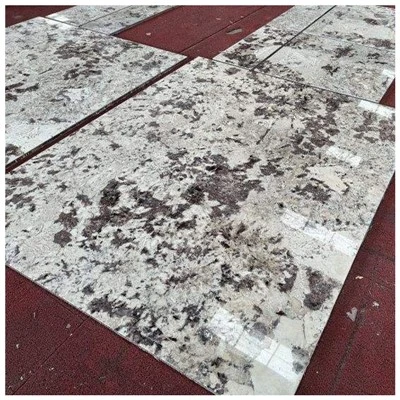 স্প্লেন্ডার হোয়াইট গ্রানাইট টাইলস